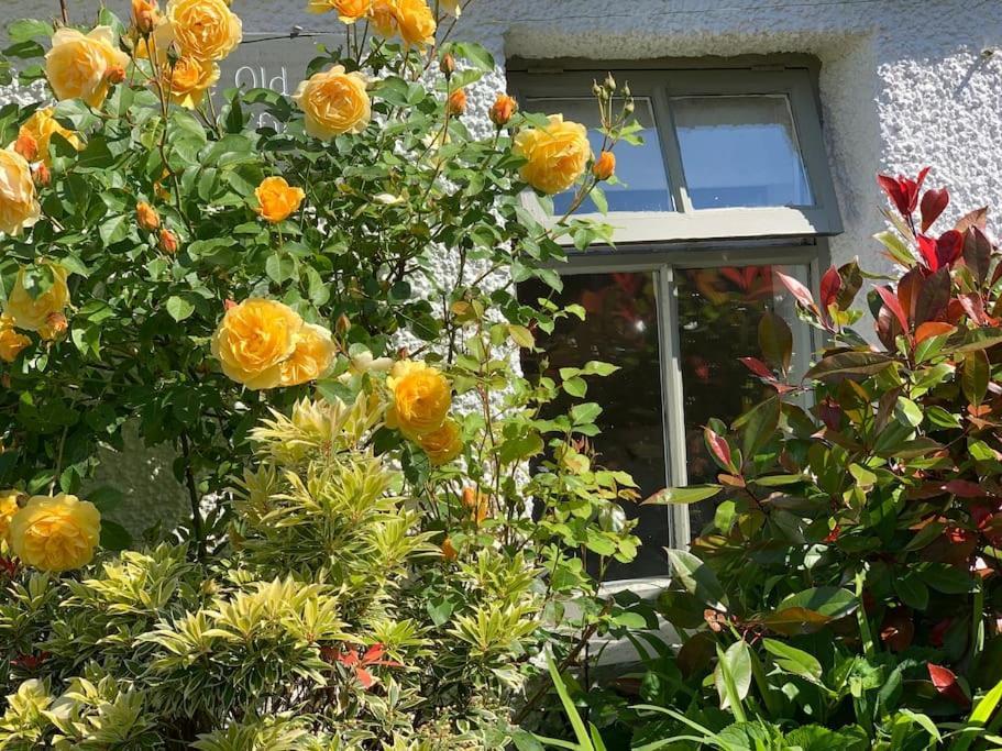 The Old Post Office, Cosy Grade II Listed 2 Bed Apartment Windermere Luaran gambar